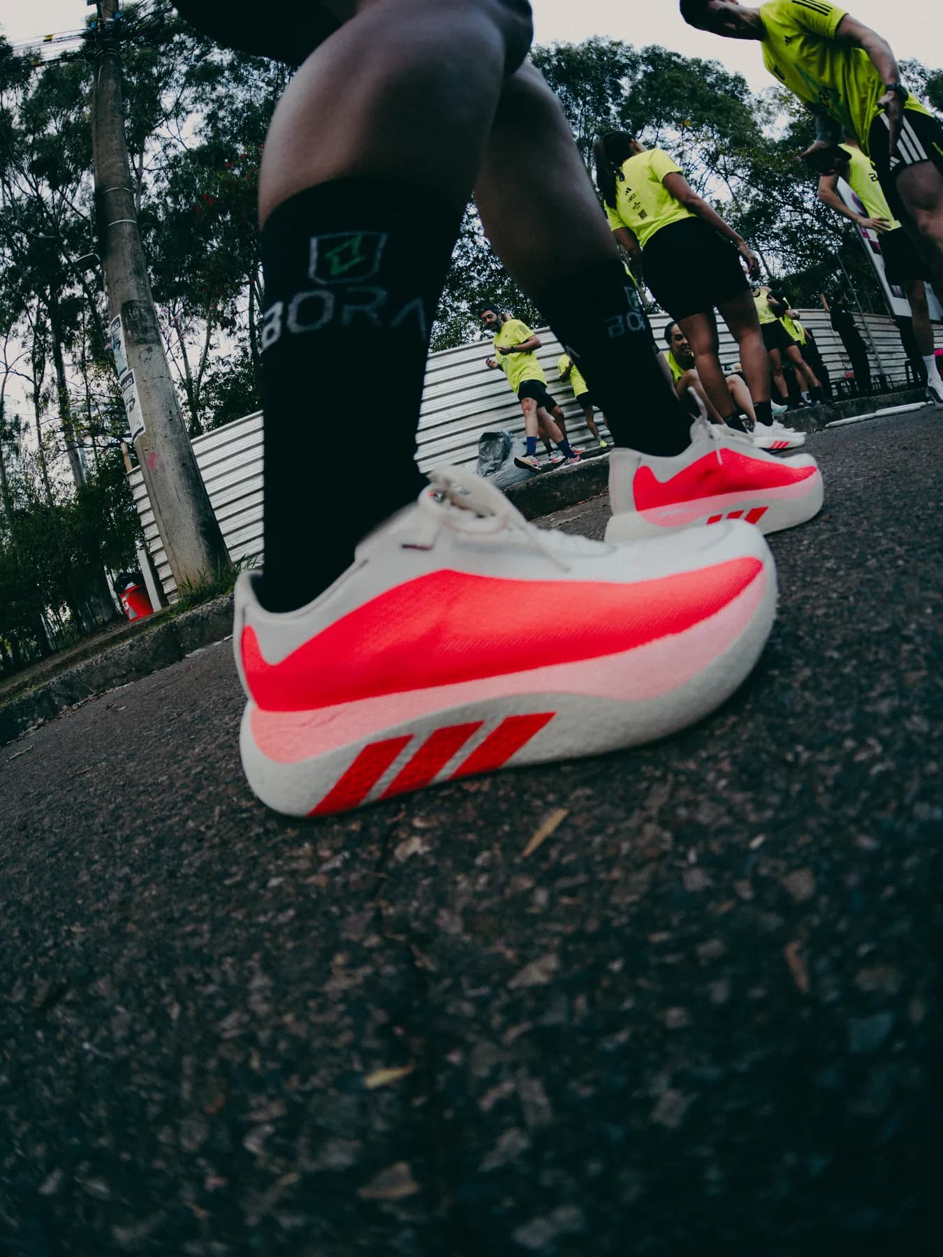 Adidas - Fotografia / direção de imagem